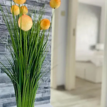 公寓 Sholiday Open Space Modern Cu Parcare Gratuita In *