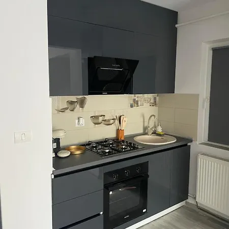 Sholiday Open Space Modern Cu Parcare Gratuita In * Τιμισοάρα