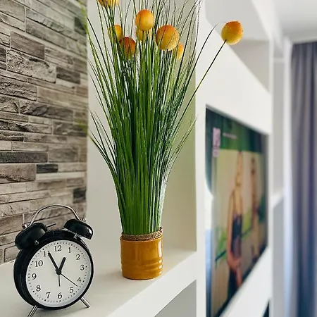 Sholiday Open Space Modern Cu Parcare Gratuita In