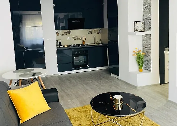 Sholiday Open Space Modern Cu Parcare Gratuita In * 티미쇼아라