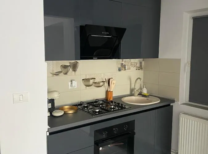 Sholiday Open Space Modern Cu Parcare Gratuita In * Тімішоара