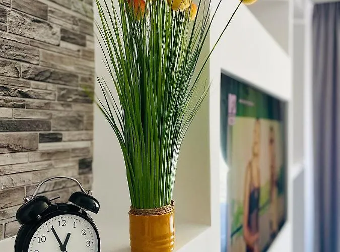 Sholiday Open Space Modern Cu Parcare Gratuita In