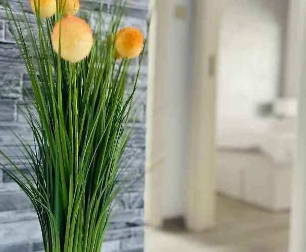 Apartamento Sholiday Open Space Modern Cu Parcare Gratuita In *